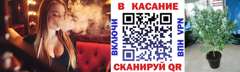 Где купить наркотики Бийск гидра ссылка  COCAIN  МЕФ  АМФ  Каннабис  Гашиш 