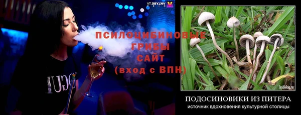 гашик Алексеевка