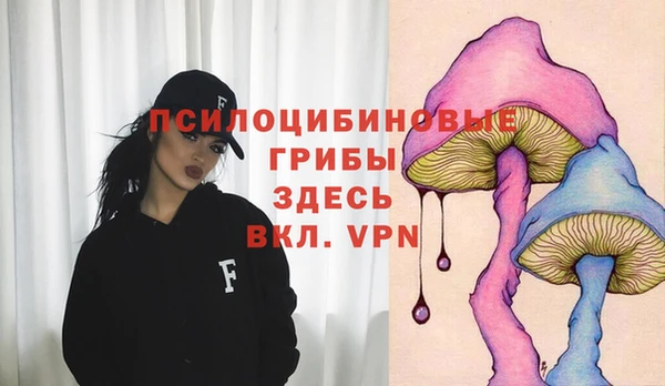 амф Алзамай