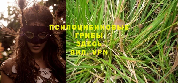 амф Алзамай