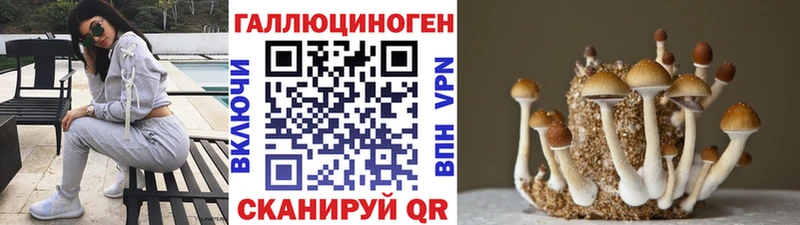 Галлюциногенные грибы Magic Shrooms  Бийск 